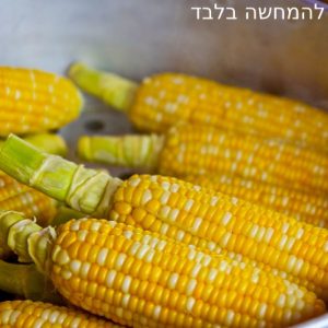 מכונת תירס חם