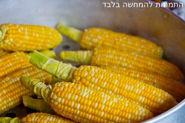 מכונת תירס חם