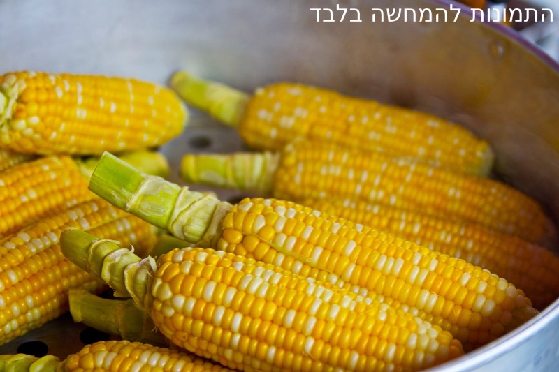 מכונת תירס חם