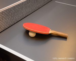 שולחן פינג פונג להשכרה