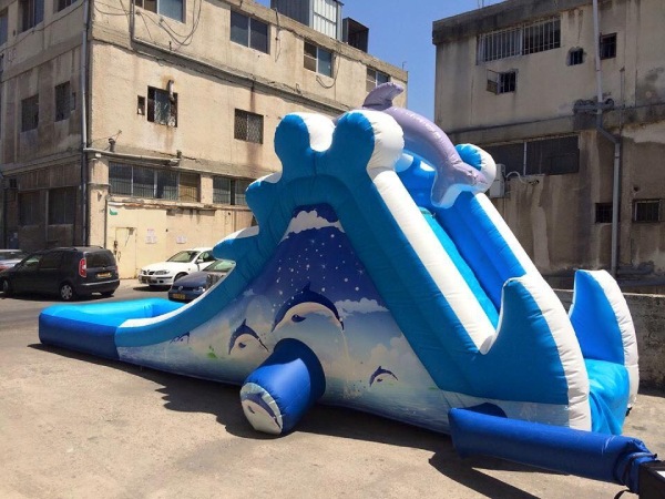 מגלשת מים דולפין